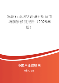 笨酚行業(yè)現(xiàn)狀調(diào)研分析及市場前景預(yù)測報告（2025年版）