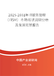 2025-2031年IT服務(wù)管理（ITSM）市場現(xiàn)狀調(diào)研分析及發(fā)展前景報(bào)告