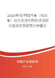2025年版中國汽車（電動車）動力電池市場現(xiàn)狀調研與發(fā)展前景趨勢分析報告