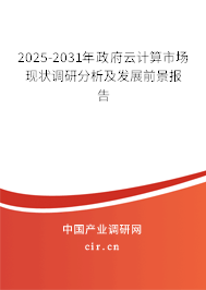 2025-2031年政府云計算市場現(xiàn)狀調(diào)研分析及發(fā)展前景報告
