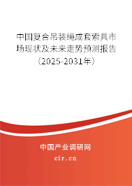 中國復(fù)合吊裝繩成套索具市場現(xiàn)狀及未來走勢預(yù)測報告（2025-2031年）