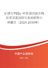 全球與中國γ-甲氧基丙胺市場現(xiàn)狀深度調研與發(fā)展趨勢分析報告（2024-2030年）