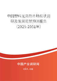 中國(guó)塑料光亮劑市場(chǎng)現(xiàn)狀調(diào)研及發(fā)展前景預(yù)測(cè)報(bào)告（2025-2031年）