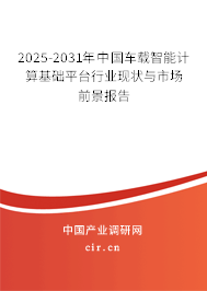 2025-2031年中國車載智能計算基礎平臺行業(yè)現(xiàn)狀與市場前景報告