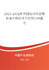 2025-2031年中國電動托盤堆垛車市場現(xiàn)狀與前景分析報告