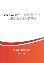 2024-2030年中國電力生產(chǎn)行業(yè)研究及前景趨勢預(yù)測