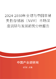 2024-2030年全球與中國非易失性存儲器（NVM）市場深度調(diào)研與發(fā)展趨勢分析報告