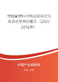 中國氟塑料市場調(diào)查研究與發(fā)展前景預測報告（2025-2031年）
