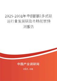 2025-2031年中國(guó)國(guó)際多式聯(lián)運(yùn)行業(yè)發(fā)展研及市場(chǎng)前景預(yù)測(cè)報(bào)告