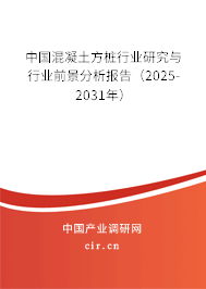 中國混凝土方樁行業(yè)研究與行業(yè)前景分析報(bào)告（2025-2031年）