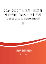 2024-2030年全球與中國建筑集成光伏（BIPV）行業(yè)發(fā)展深度調(diào)研與未來趨勢預(yù)測報告