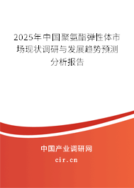2025年中國聚氨酯彈性體市場現(xiàn)狀調(diào)研與發(fā)展趨勢預(yù)測分析報(bào)告
