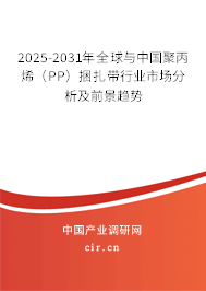 2025-2031年全球與中國聚丙烯（PP）捆扎帶行業(yè)市場分析及前景趨勢