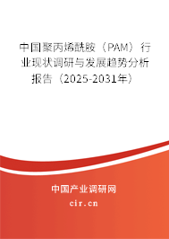 中國聚丙烯酰胺（PAM）行業(yè)現(xiàn)狀調(diào)研與發(fā)展趨勢分析報告（2025-2031年）