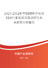 2025-2031年中國鋰離子電池回收行業(yè)發(fā)展深度調(diào)研與未來趨勢分析報告