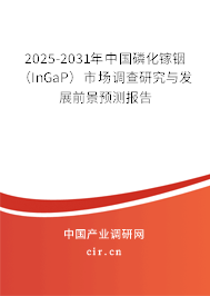 2025-2031年中國磷化鎵銦（InGaP）市場調(diào)查研究與發(fā)展前景預測報告