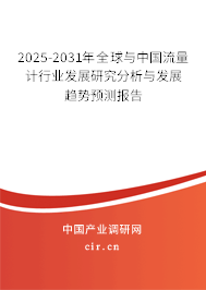 2025-2031年全球與中國流量計行業(yè)發(fā)展研究分析與發(fā)展趨勢預(yù)測報告