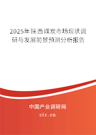 2025年陜西煤炭市場(chǎng)現(xiàn)狀調(diào)研與發(fā)展前景預(yù)測(cè)分析報(bào)告