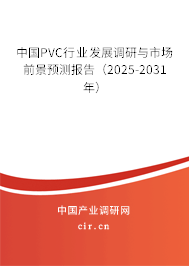 中國(guó)PVC行業(yè)發(fā)展調(diào)研與市場(chǎng)前景預(yù)測(cè)報(bào)告（2025-2031年）