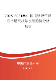2025-2031年中國瓶裝燃氣供應市場現狀與發(fā)展趨勢分析報告