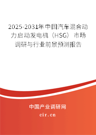 2025-2031年中國(guó)汽車混合動(dòng)力啟動(dòng)發(fā)電機(jī)（HSG）市場(chǎng)調(diào)研與行業(yè)前景預(yù)測(cè)報(bào)告