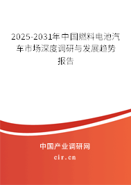 2025-2031年中國(guó)燃料電池汽車市場(chǎng)深度調(diào)研與發(fā)展趨勢(shì)報(bào)告