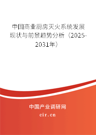 中國商業(yè)廚房滅火系統(tǒng)發(fā)展現(xiàn)狀與前景趨勢(shì)分析（2025-2031年）