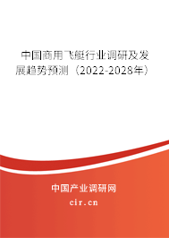 中國商用飛艇行業(yè)調(diào)研及發(fā)展趨勢預(yù)測（2022-2028年）