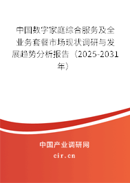 中國(guó)數(shù)字家庭綜合服務(wù)及全業(yè)務(wù)套餐市場(chǎng)現(xiàn)狀調(diào)研與發(fā)展趨勢(shì)分析報(bào)告（2025-2031年）