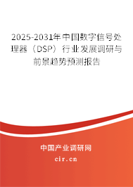 2025-2031年中國數(shù)字信號(hào)處理器（DSP）行業(yè)發(fā)展調(diào)研與前景趨勢預(yù)測報(bào)告