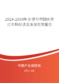 2024-2030年全球與中國(guó)水景燈市場(chǎng)現(xiàn)狀及發(fā)展前景報(bào)告