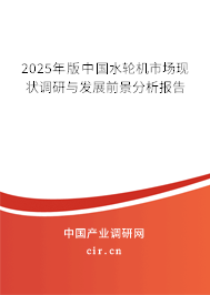 2025年版中國水輪機(jī)市場現(xiàn)狀調(diào)研與發(fā)展前景分析報(bào)告