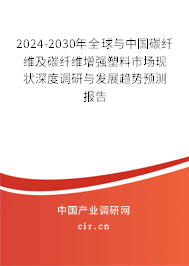 2024-2030年全球與中國碳纖維及碳纖維增強(qiáng)塑料市場現(xiàn)狀深度調(diào)研與發(fā)展趨勢預(yù)測報(bào)告