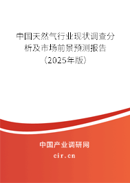中國天然氣行業(yè)現(xiàn)狀調(diào)查分析及市場前景預(yù)測報(bào)告（2025年版）