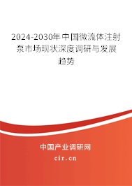 2024-2030年中國(guó)微流體注射泵市場(chǎng)現(xiàn)狀深度調(diào)研與發(fā)展趨勢(shì)