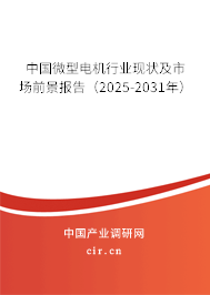 中國微型電機(jī)行業(yè)現(xiàn)狀及市場前景報告（2025-2031年）