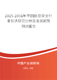 2025-2031年中國(guó)信息安全行業(yè)現(xiàn)狀研究分析及發(fā)展趨勢(shì)預(yù)測(cè)報(bào)告