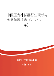 中國壓力補償器行業(yè)現(xiàn)狀與市場前景報告（2025-2031年）