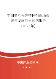 中國(guó)羊毛光亮整理劑市場(chǎng)調(diào)研與發(fā)展前景預(yù)測(cè)報(bào)告（2025年）