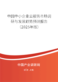中國中小企業(yè)云服務市場調(diào)研與發(fā)展趨勢預測報告（2025年版）