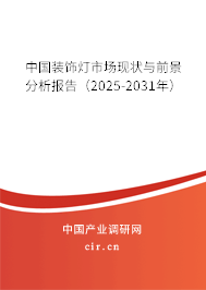 中國(guó)裝飾燈市場(chǎng)現(xiàn)狀與前景分析報(bào)告（2025-2031年）