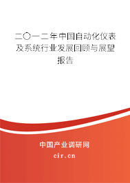 二〇一二年中國自動化儀表及系統(tǒng)行業(yè)發(fā)展回顧與展望報告