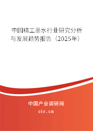 中國精工墨水行業(yè)研究分析與發(fā)展趨勢報(bào)告（2025年）