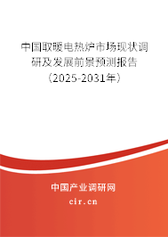 中國取暖電熱爐市場現狀調研及發(fā)展前景預測報告（2025-2031年）