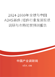 2024-2030年全球與中國ADAS器件/組件行業(yè)發(fā)展現(xiàn)狀調(diào)研與市場前景預(yù)測報告