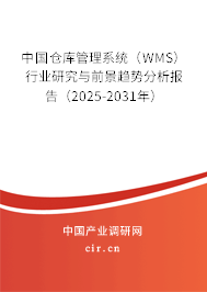 中國倉庫管理系統(tǒng)（WMS）行業(yè)研究與前景趨勢分析報(bào)告（2025-2031年）