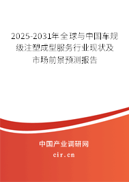 2025-2031年全球與中國車規(guī)級(jí)注塑成型服務(wù)行業(yè)現(xiàn)狀及市場(chǎng)前景預(yù)測(cè)報(bào)告