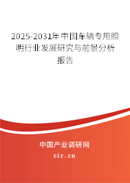 2025-2031年中國(guó)車輛專用照明行業(yè)發(fā)展研究與前景分析報(bào)告