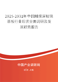 2025-2031年中國觸摸屏玻璃基板行業(yè)現(xiàn)狀全面調研及發(fā)展趨勢報告