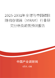 2025-2031年全球與中國(guó)磁阻隨機(jī)存儲(chǔ)器（MRAM）行業(yè)研究分析及趨勢(shì)預(yù)測(cè)報(bào)告